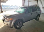 Ford Escape 2011