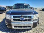 Ford Escape 2011
