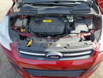 Ford Escape 2016