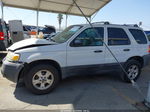 Ford Escape 2007