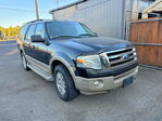 Ford Expedition 2010