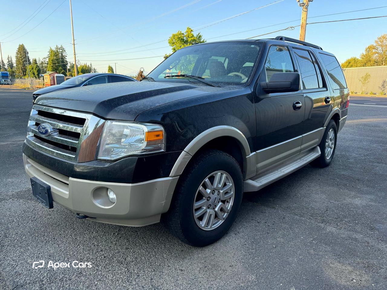 Ford Expedition 2010