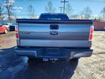 Ford F-150 2010