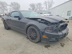 Ford Mustang 2013
