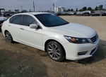 Honda Accord 2013