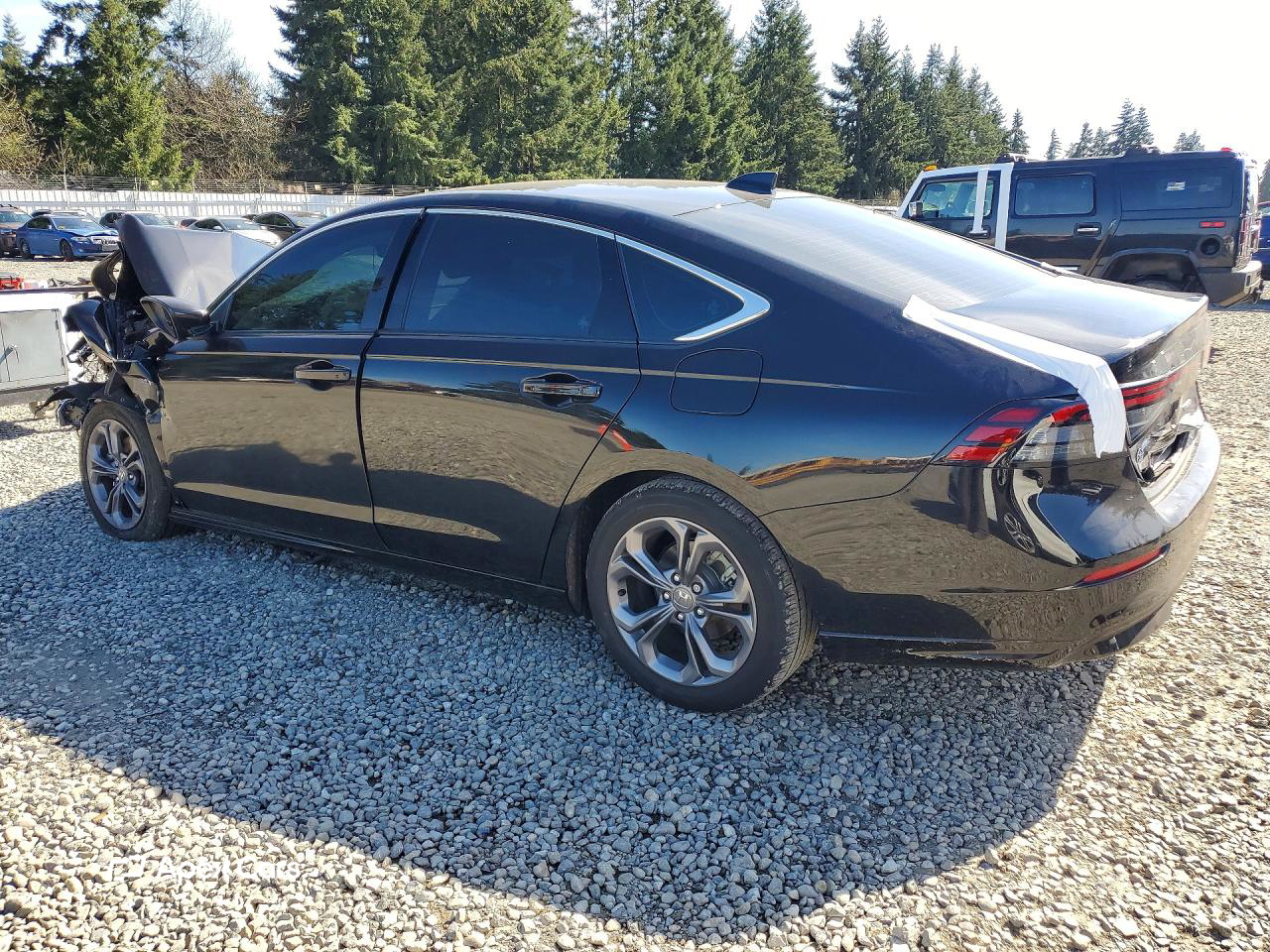 Honda Accord 2025