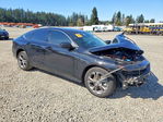 Honda Accord 2025