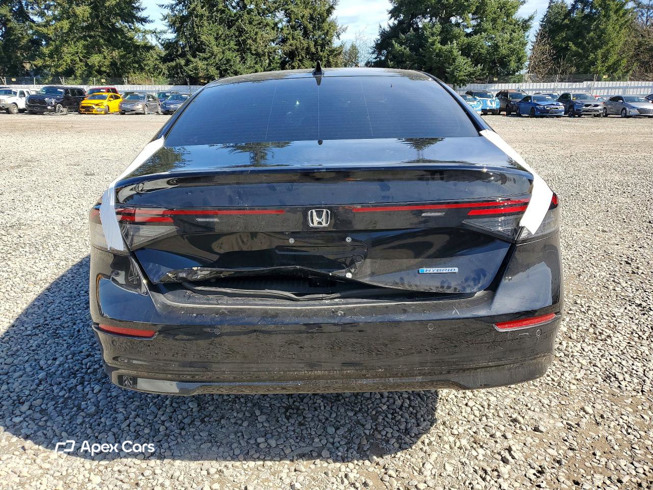 Honda Accord 2025