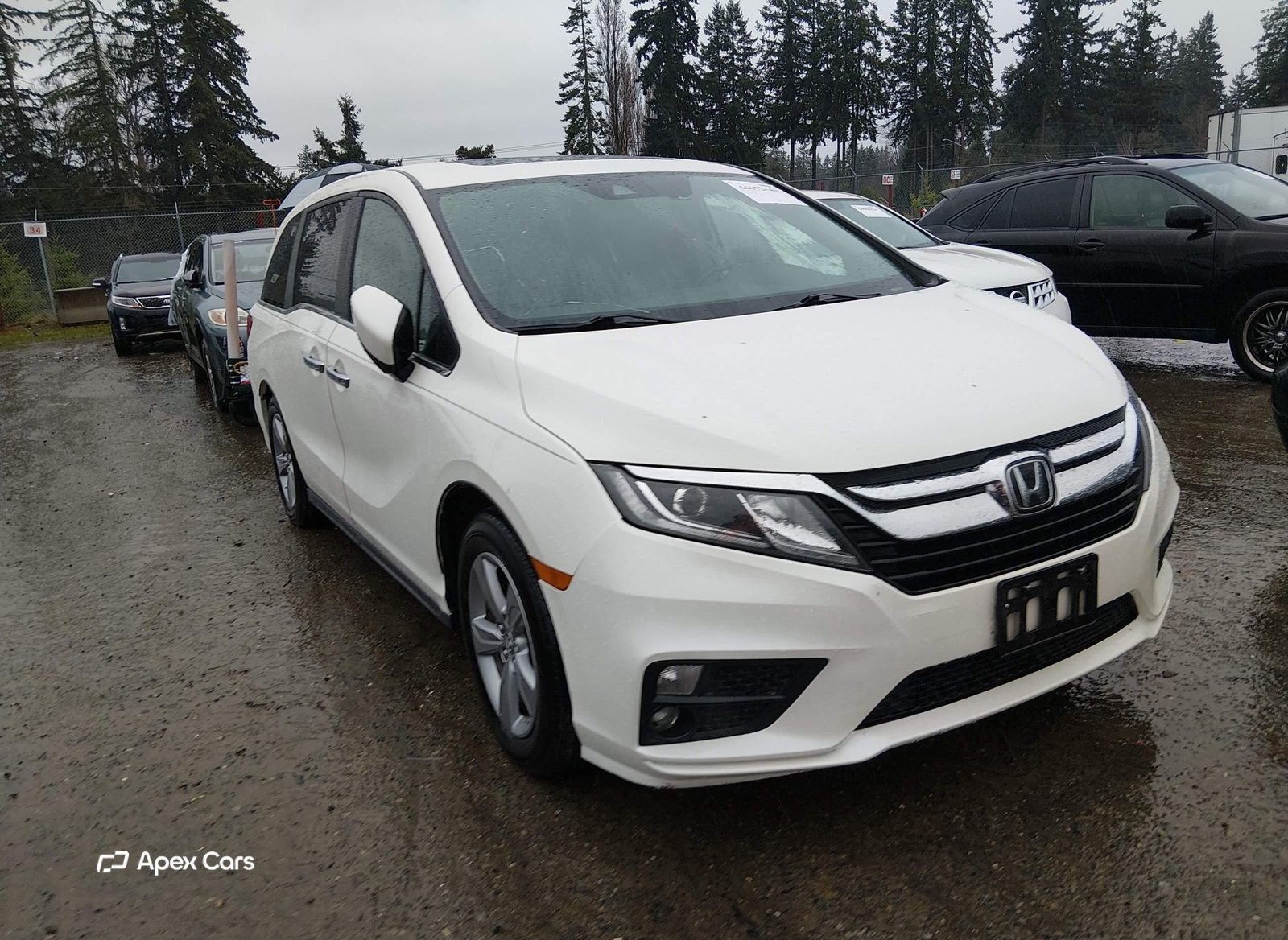 Honda Odyssey 2019