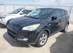 Ford Escape 2014