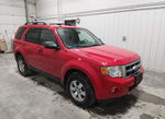 Ford Escape 2009