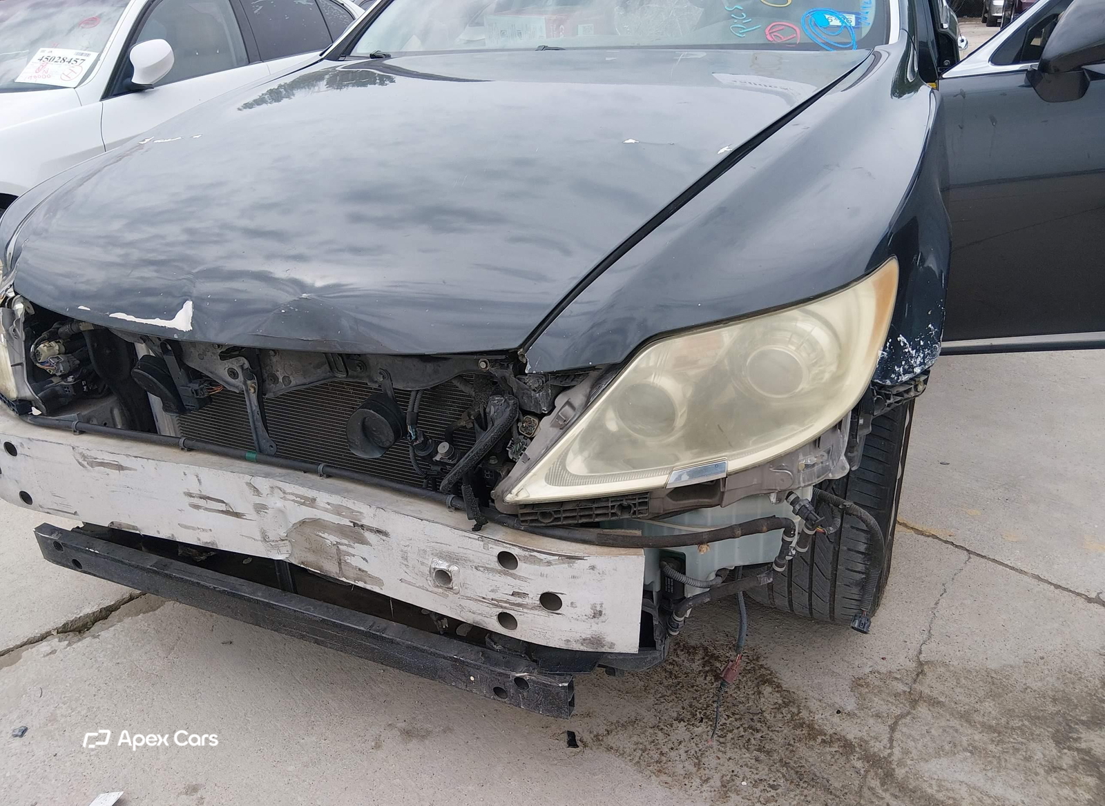 Lexus LS 2008