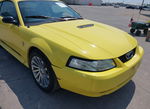Ford Mustang 2002
