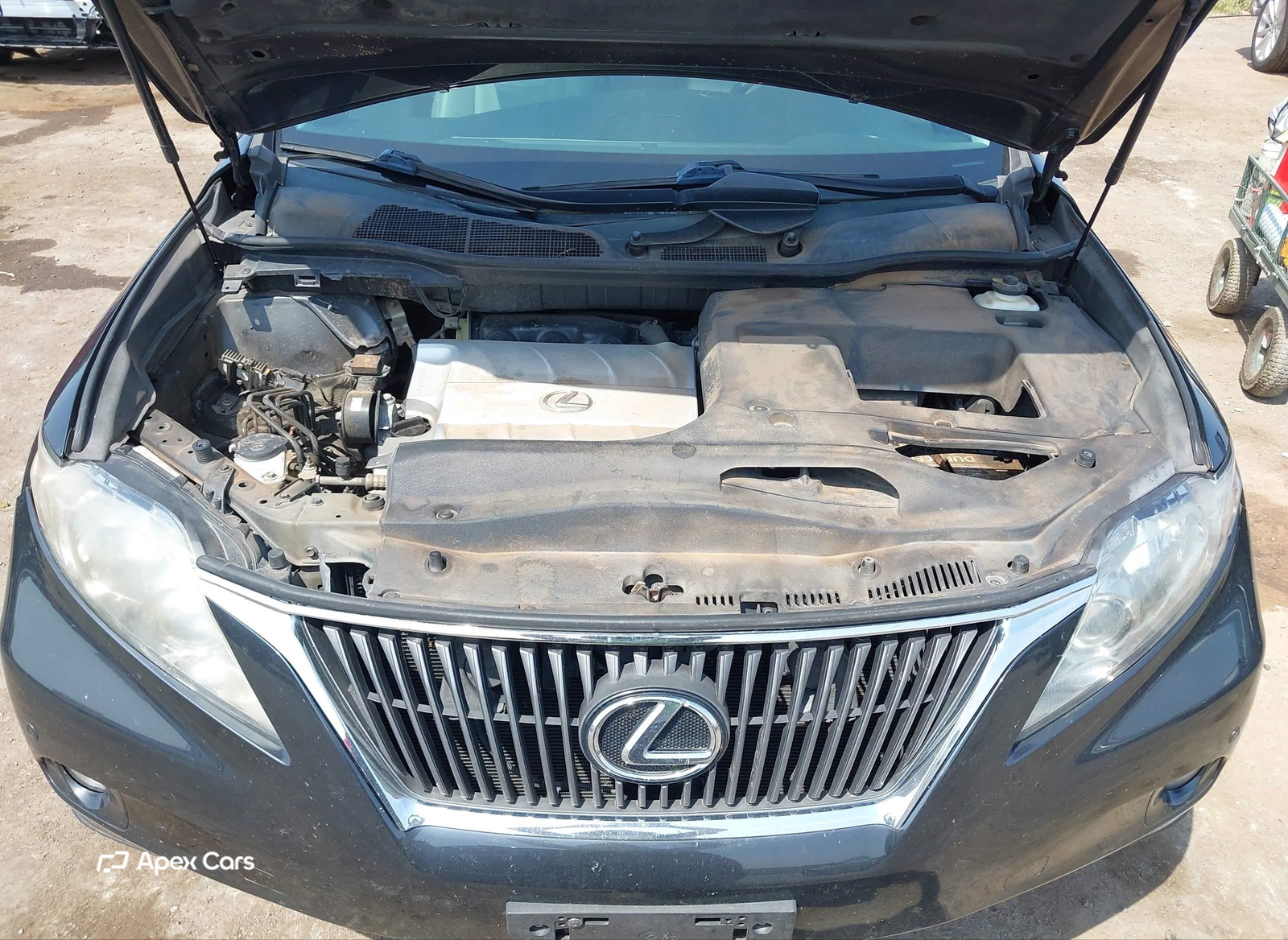 Lexus RX 2010