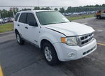 Ford Escape 2008