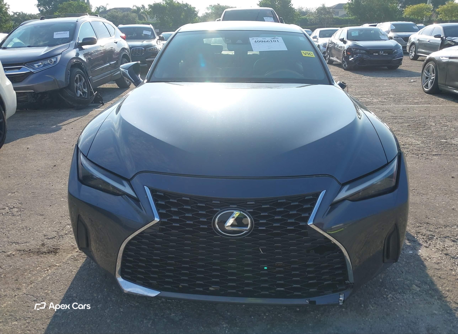 Lexus IS 2021