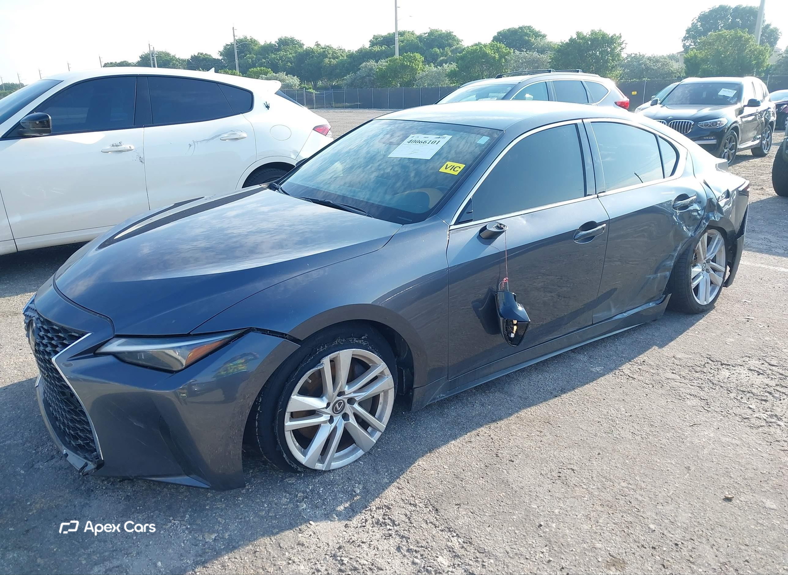 Lexus IS 2021