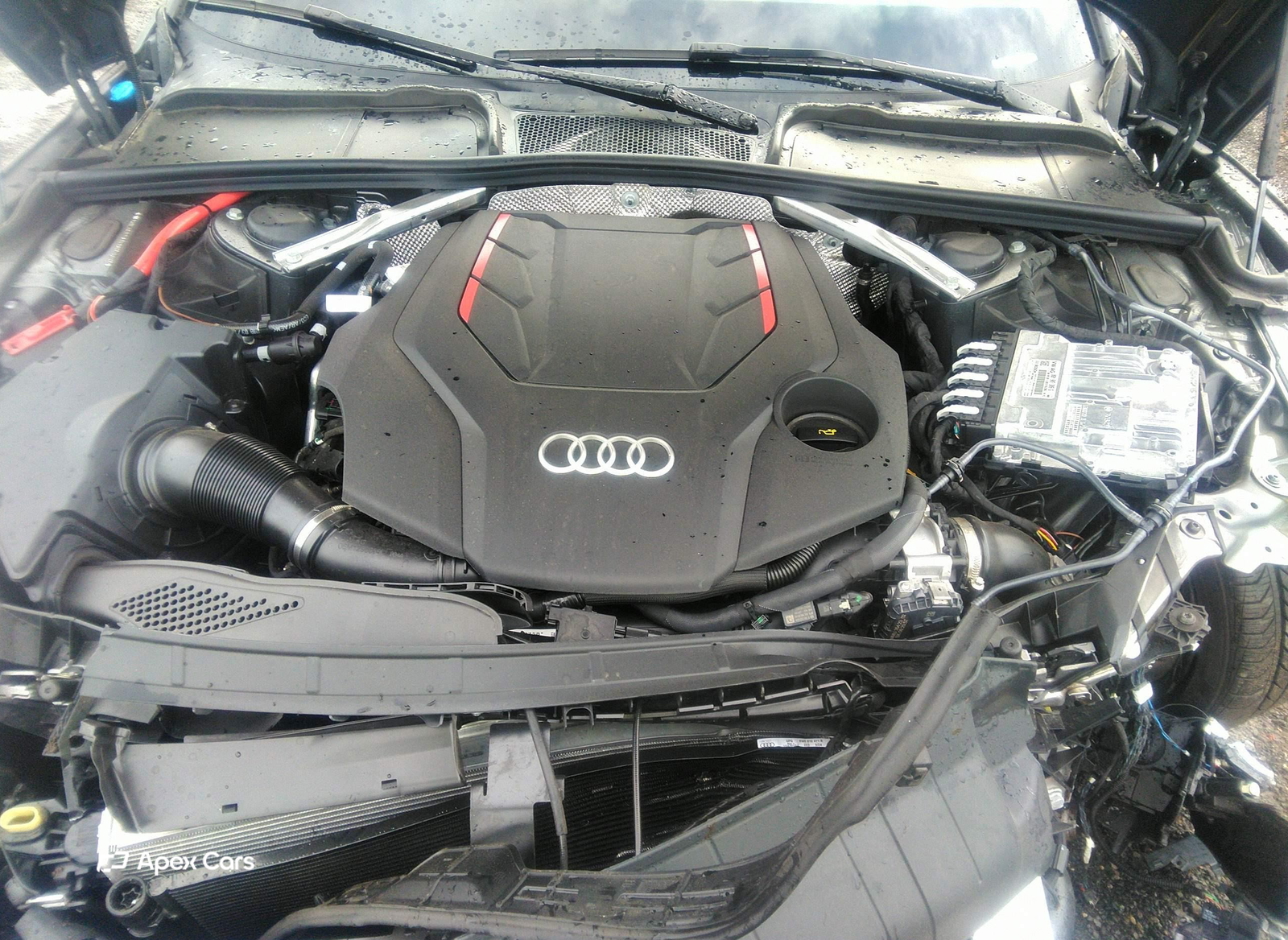 Audi S5 2024