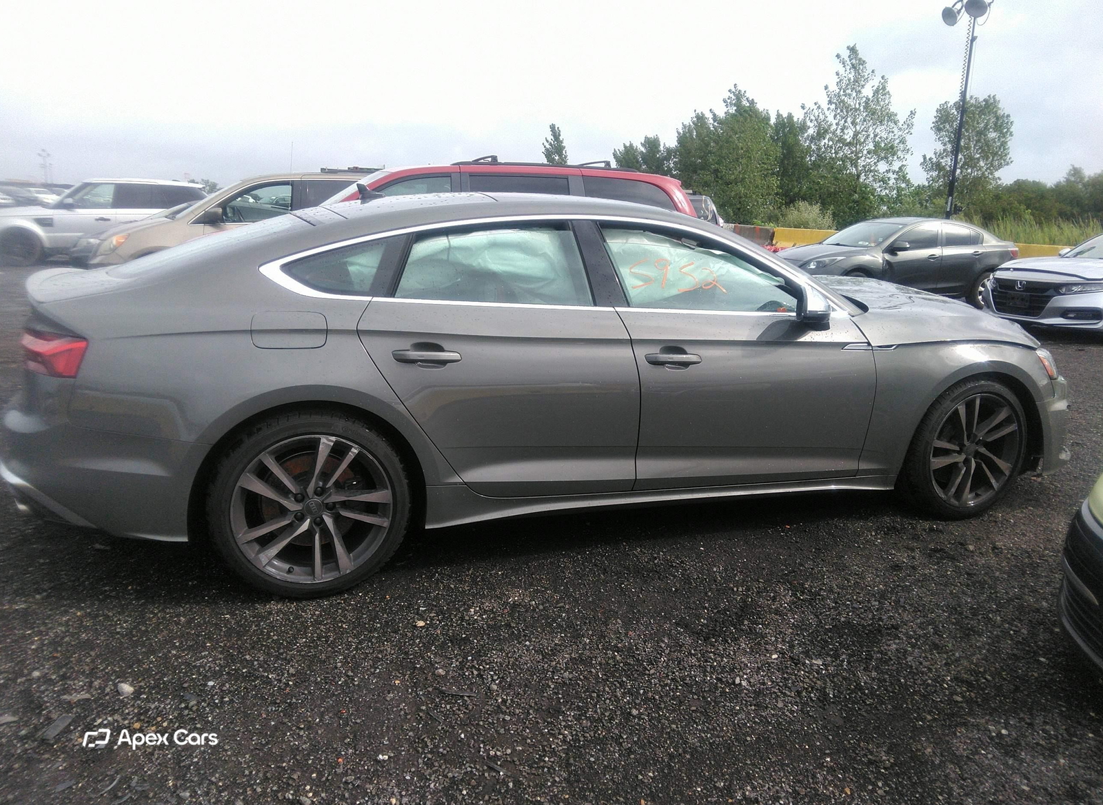 Audi S5 2024