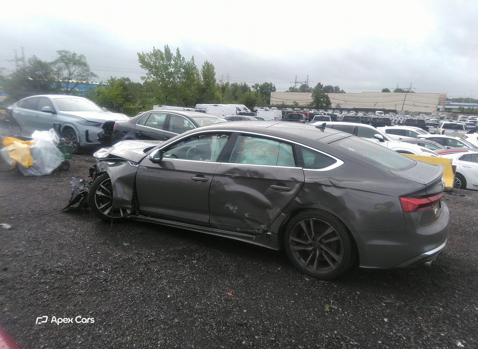 Audi S5 2024