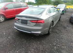 Audi S5 2024