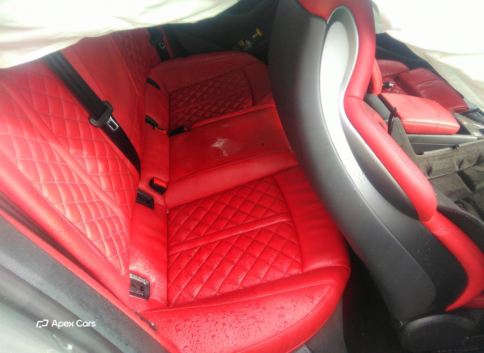 Audi S5 2024