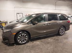 Honda Odyssey 2022