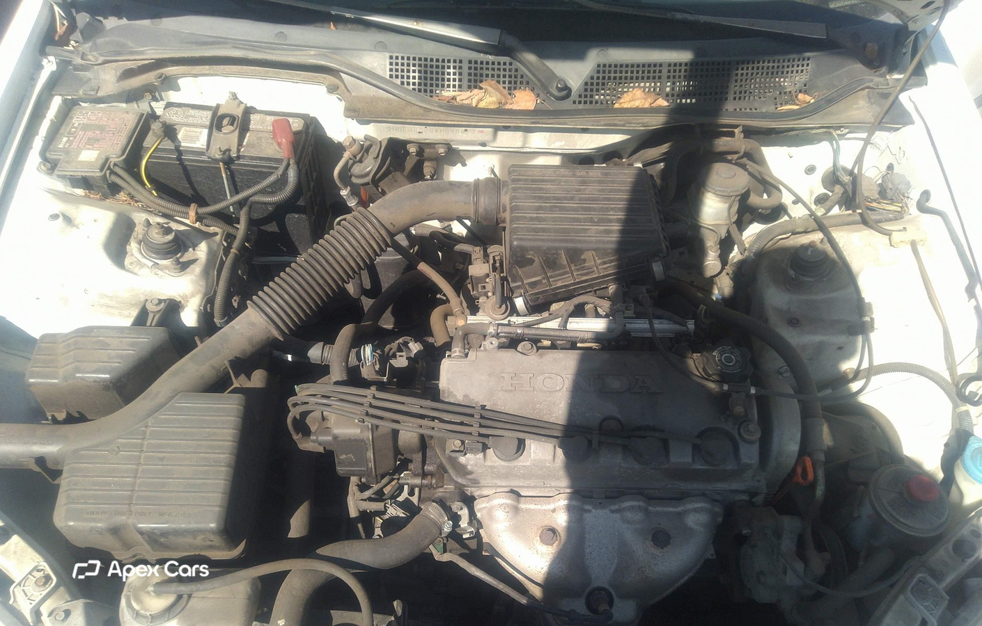 Honda Civic 1998