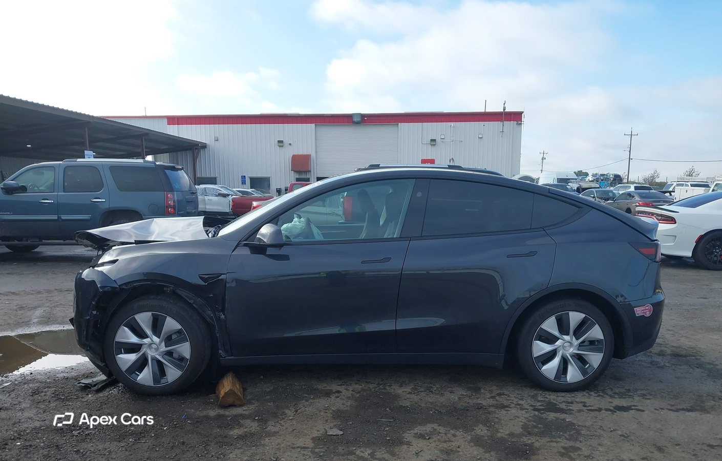 Tesla Model Y 2024
