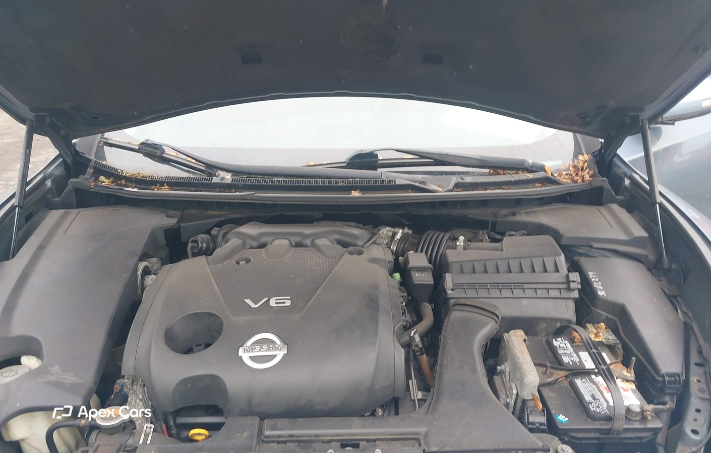 Nissan Maxima 2010