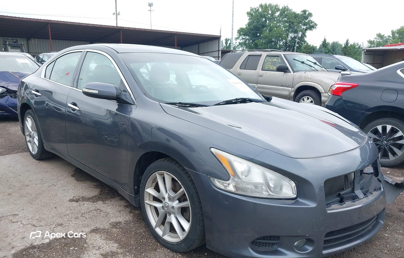 Nissan Maxima 2010