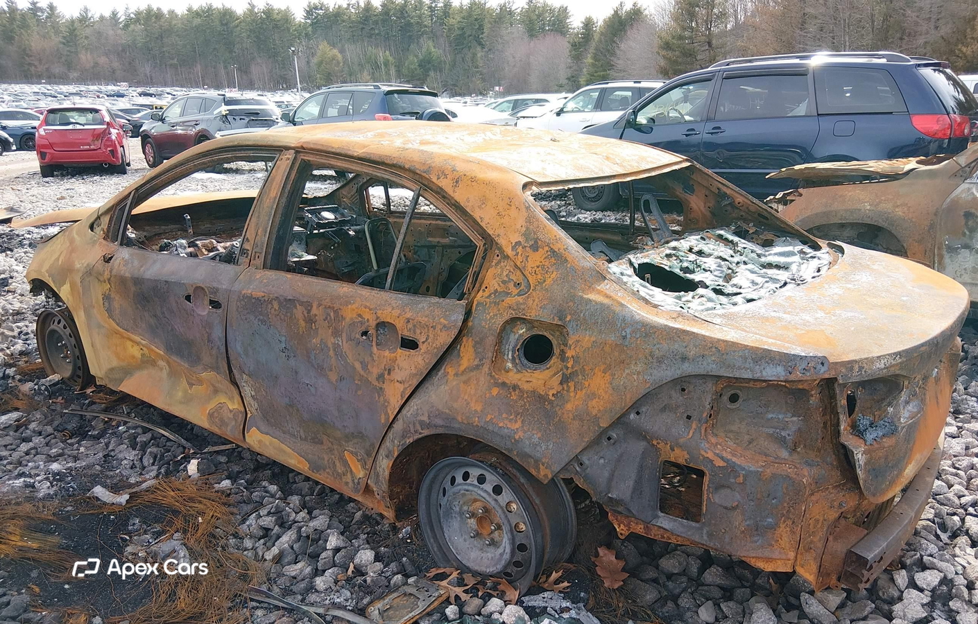 Toyota Corolla 2021