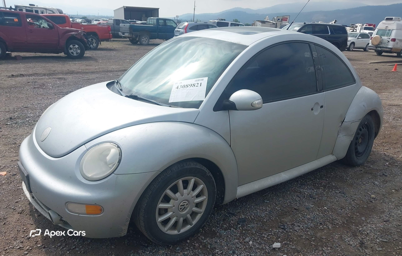 Volkswagen Beetle 2004