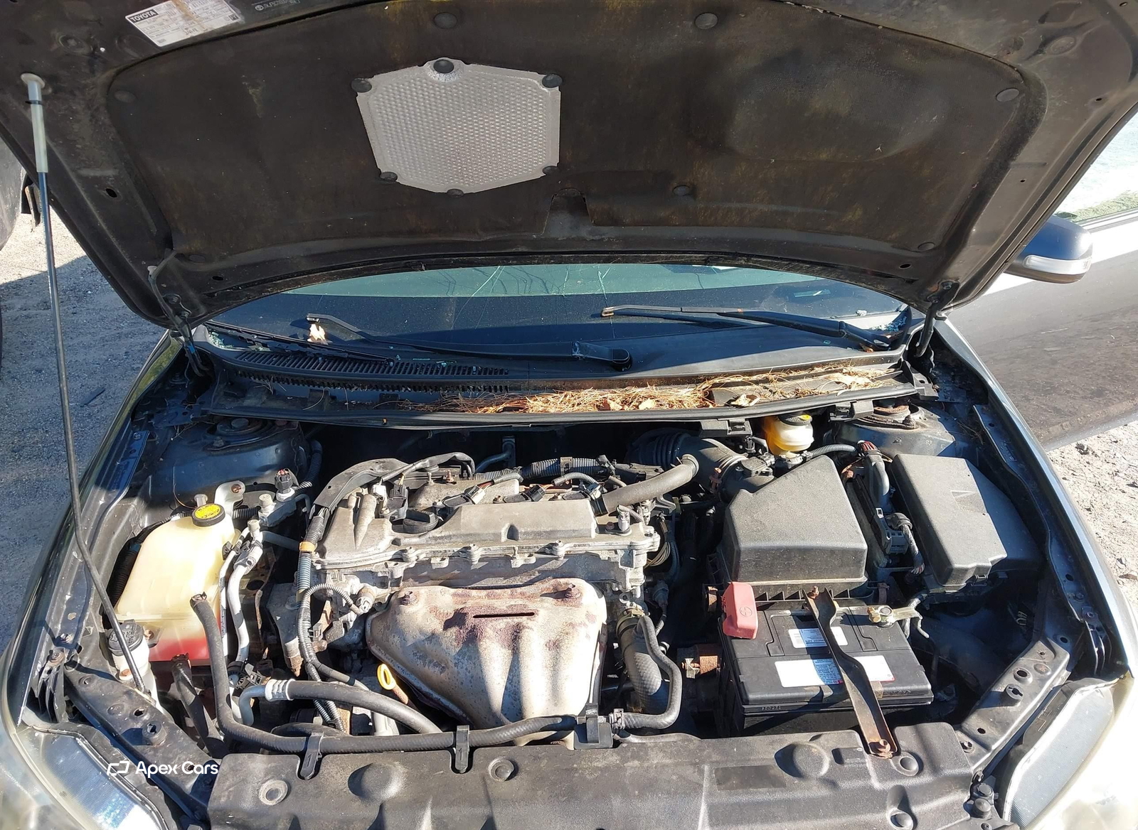 Scion tC 2011