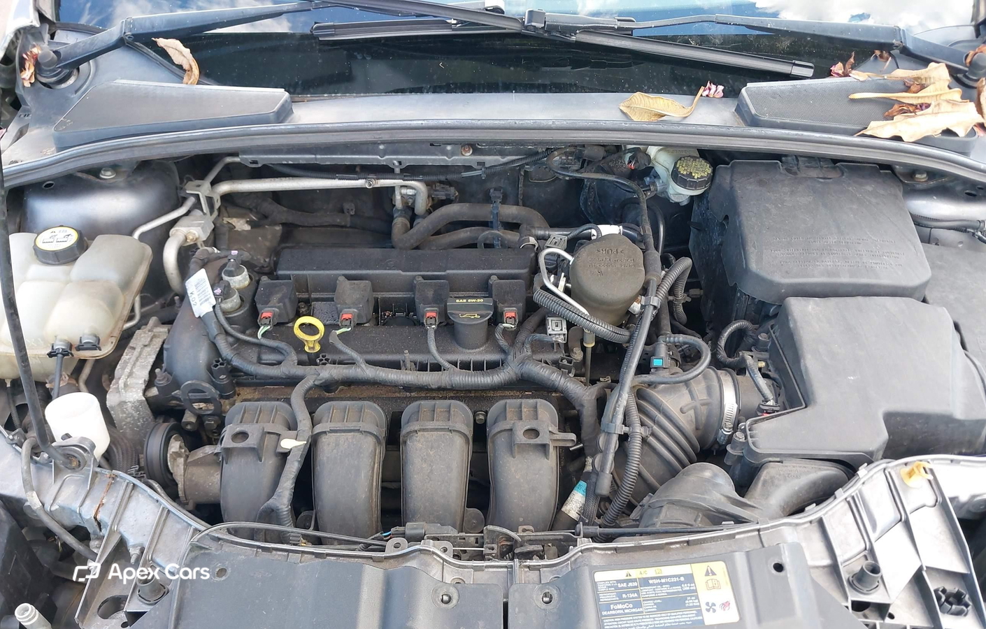Ford Focus 2013