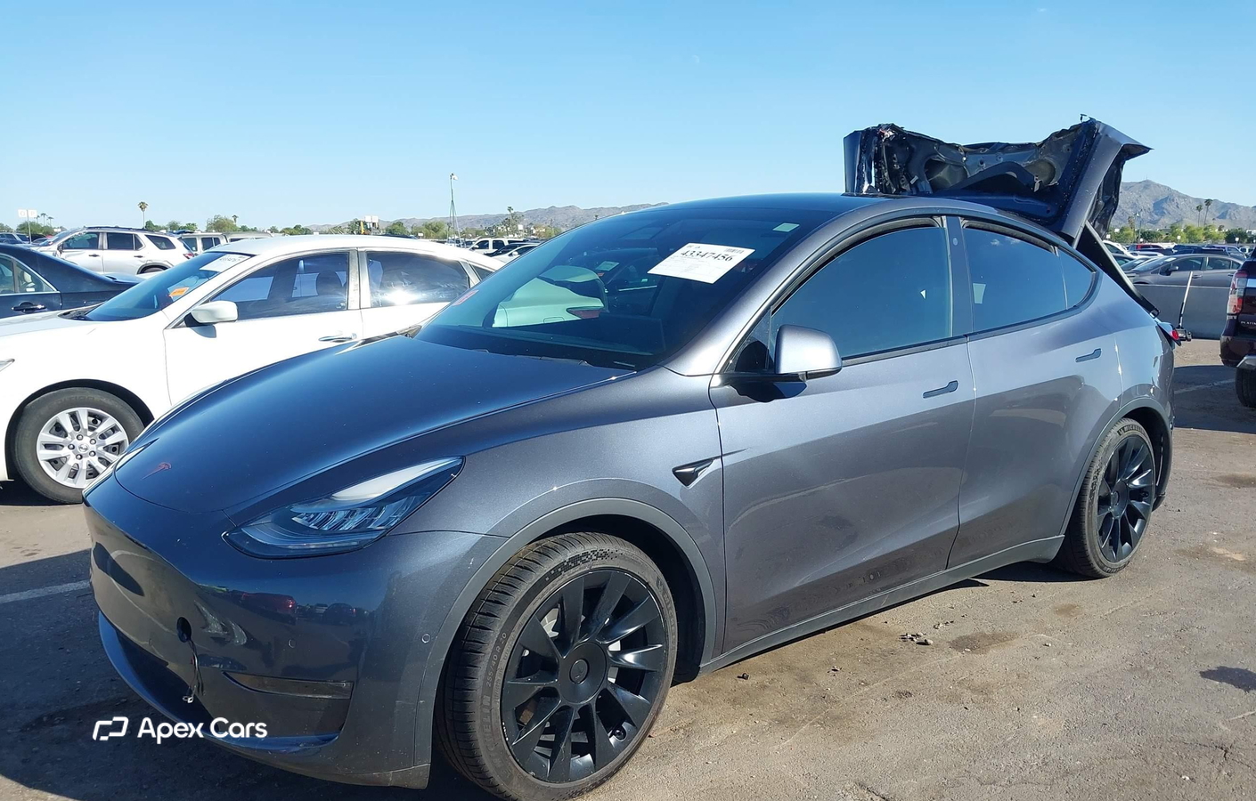 Tesla Model Y 2020