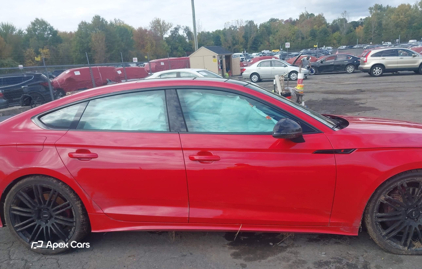 Audi S5 2024