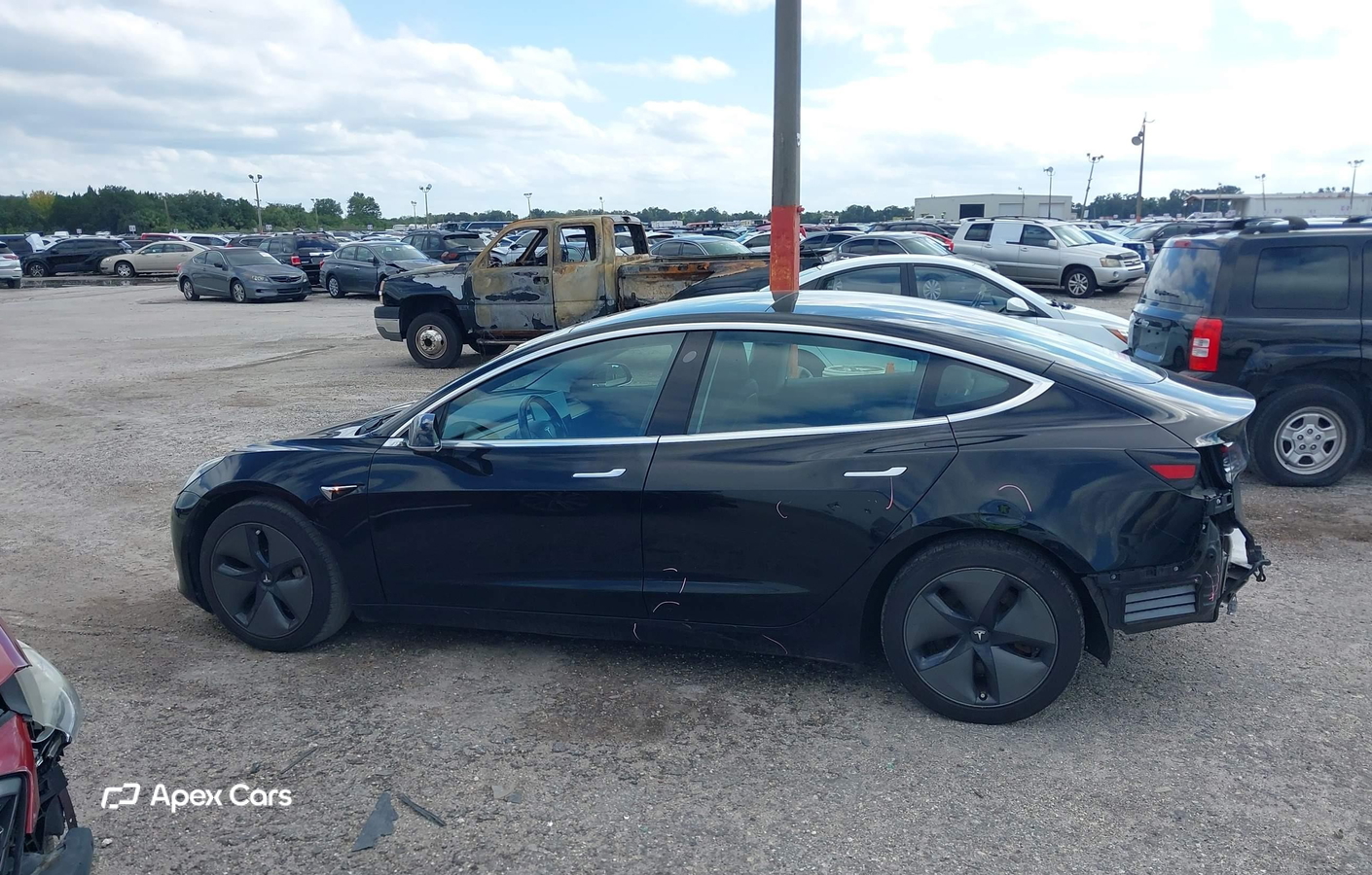 Tesla Model 3 2019