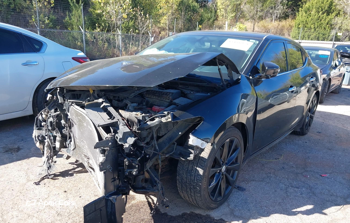 Nissan Maxima 2017