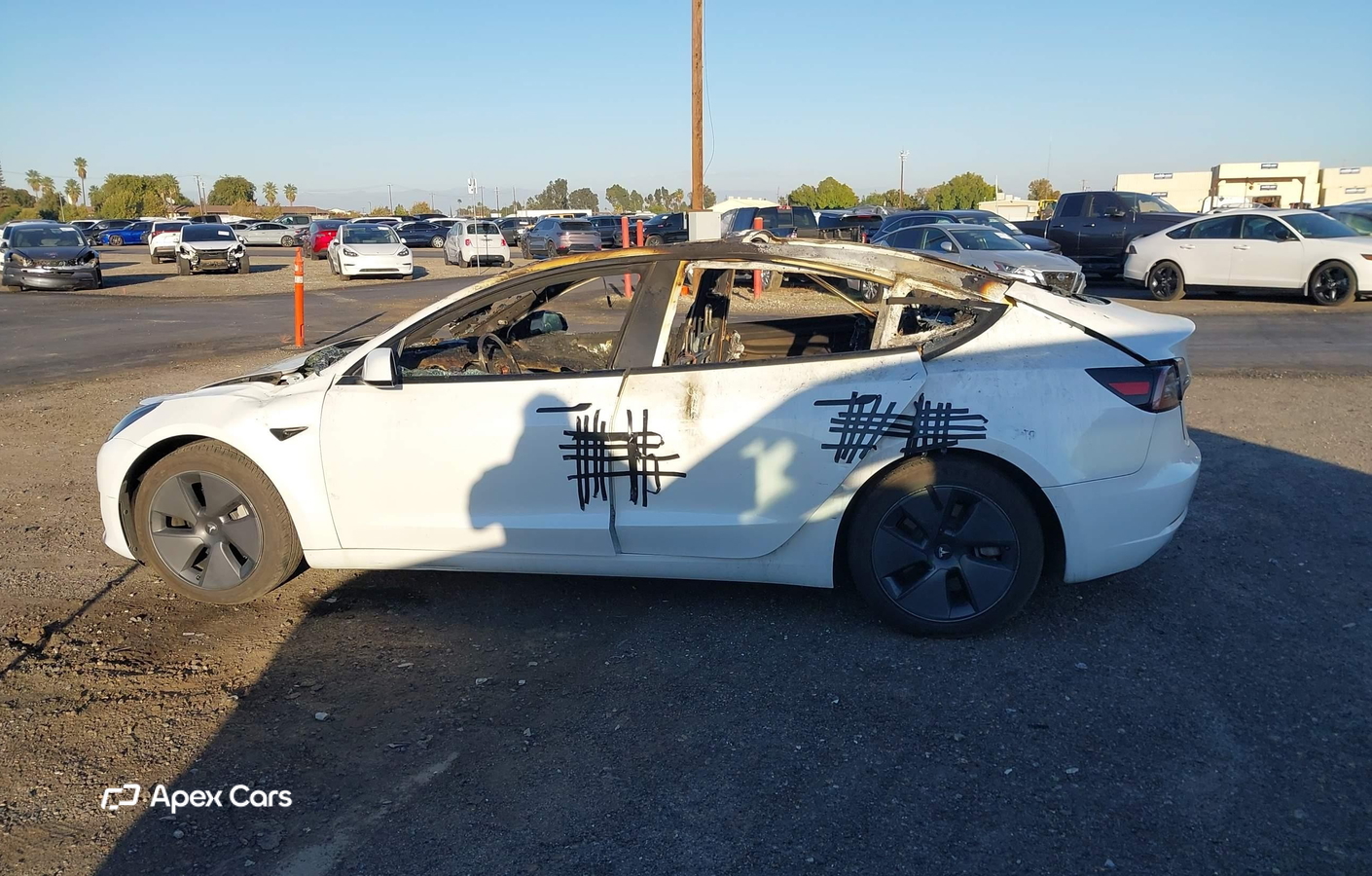 Tesla Model 3 2023