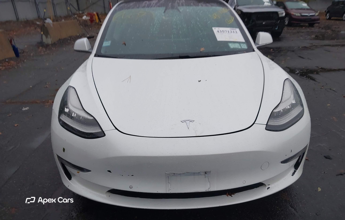 Tesla Model 3 2019