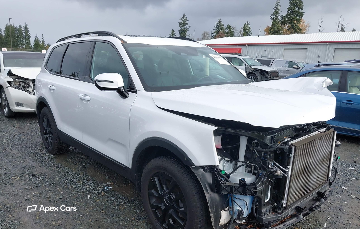 Kia Telluride 2024