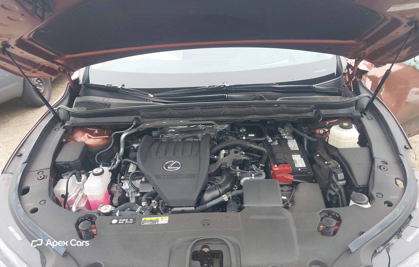 Lexus RX 2023