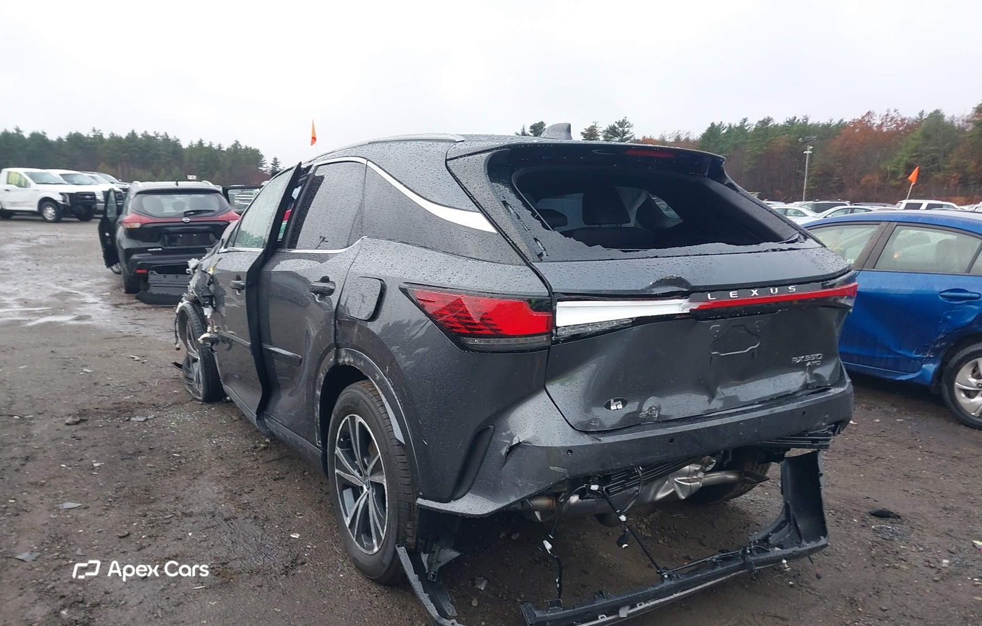 Lexus RX 2025