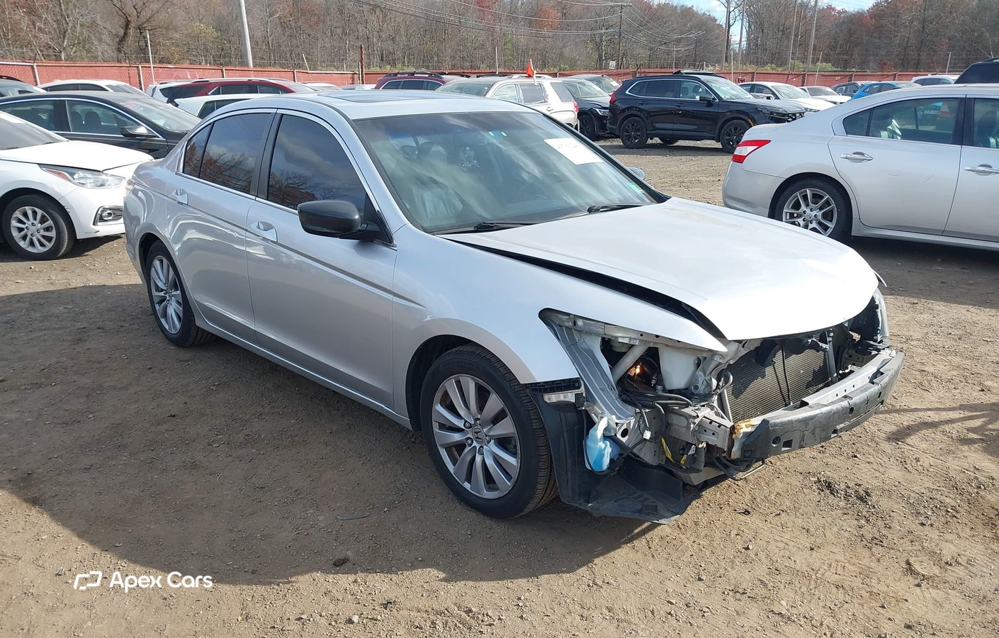 Honda Accord 2011