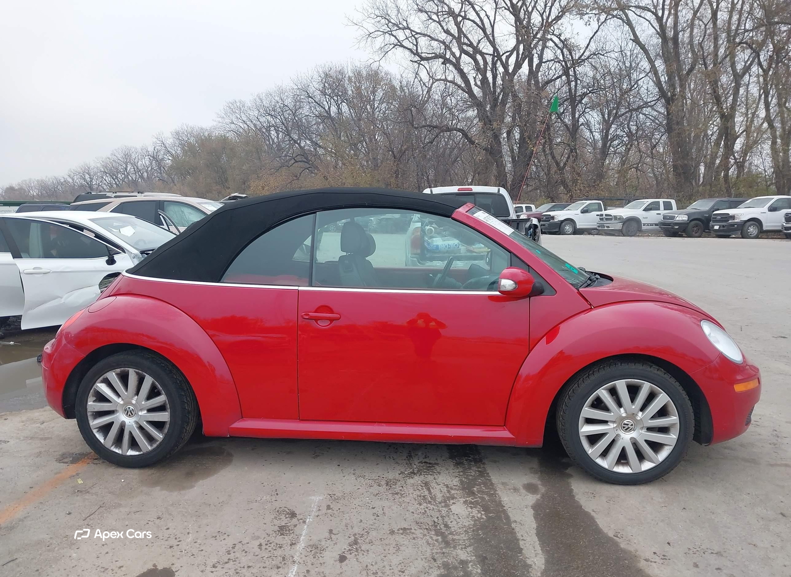 Volkswagen Beetle 2008