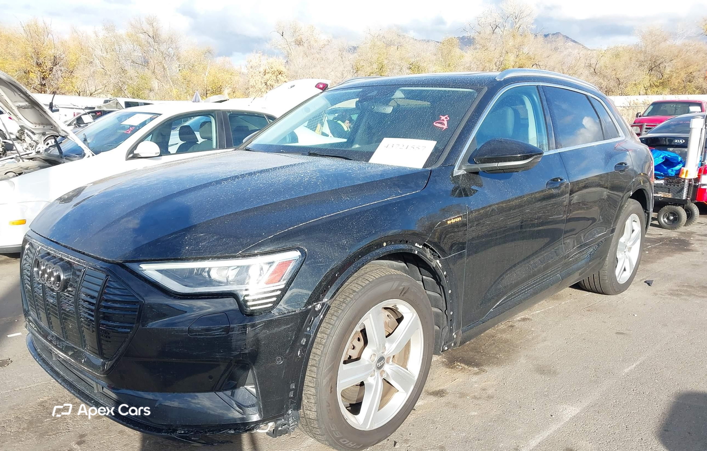 Audi e-tron 2019