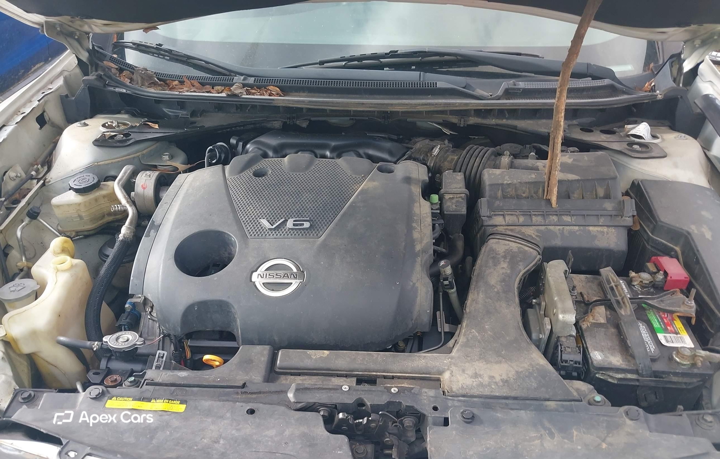 Nissan Maxima 2011