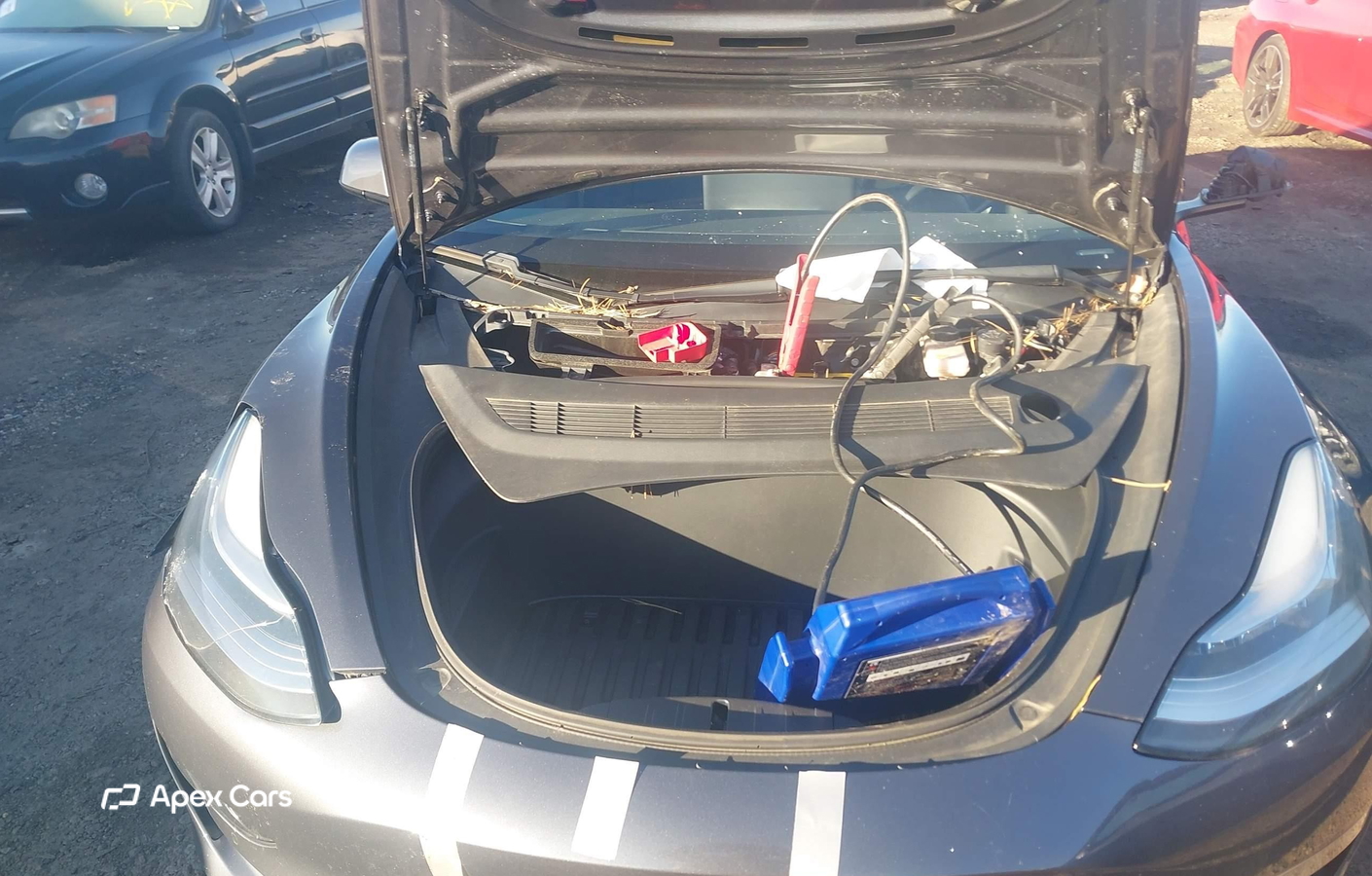 Tesla Model 3 2021