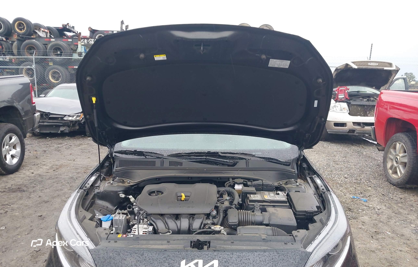 Kia Forte 2024